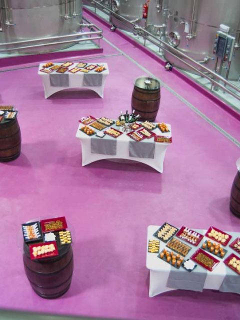 COCTEL Y CATERING EN CIUDAD REAL