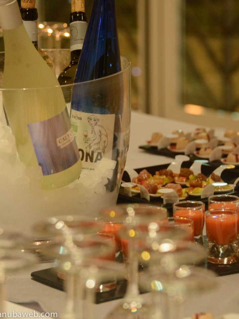 TIERRA DE VINOS