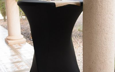 SETC ofrece un cóctel para fiesta privada